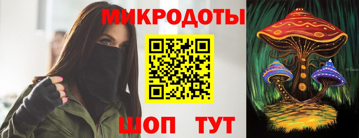 Псилоцибиновые грибы Psilocybe Барабинск