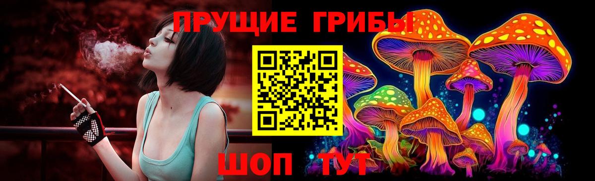 как найти наркотики  Псилоцибиновые грибы Cubensis  Вход с VPN  Барабинск 